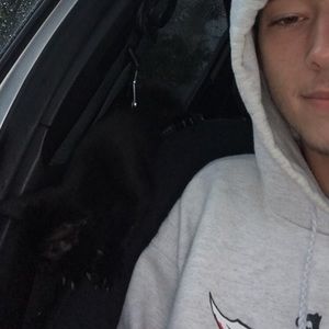 Meet your Posher, Gavin